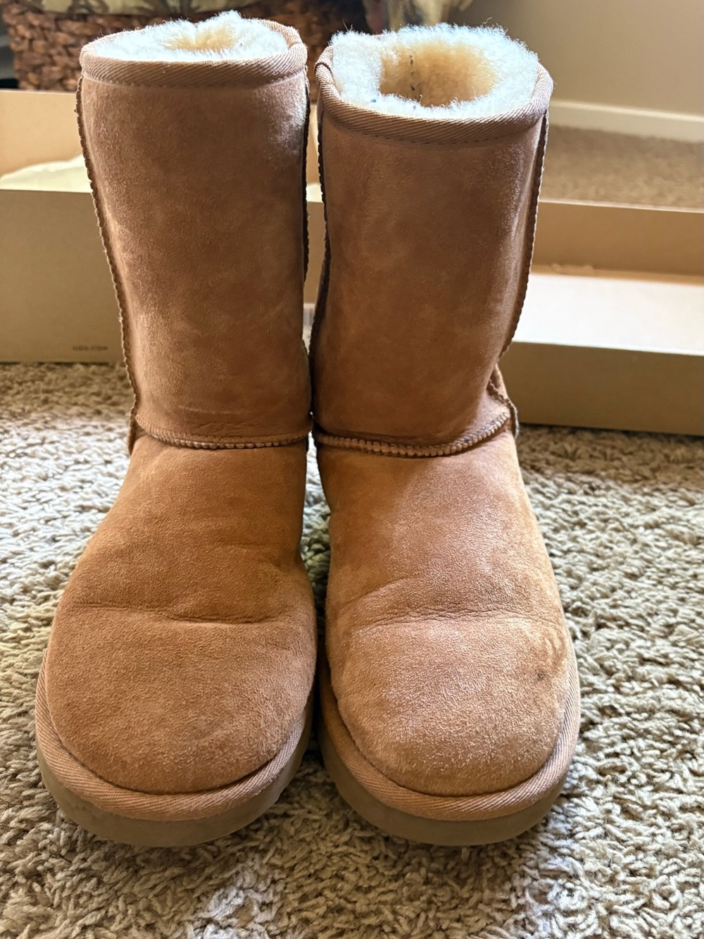 UGG Classic Short II Chestnut Suede Women's Shearling Boots